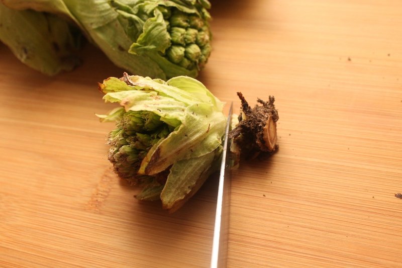 ふきのとう味噌の作り方 樋口直哉 Travelingfoodlab Note ふきのとう味噌の作り方 樋口直哉 Travelingfoodlab Note