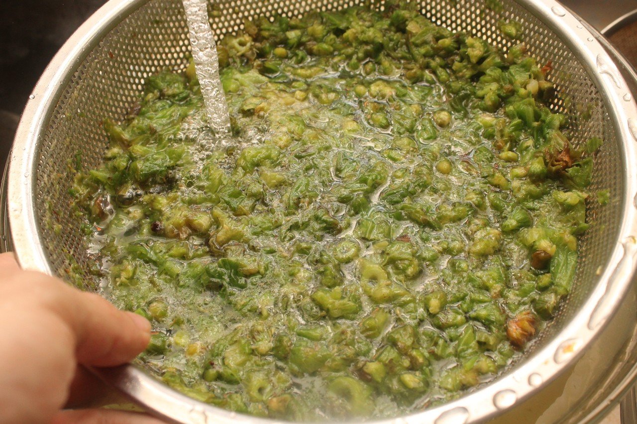 ふきのとう味噌の作り方｜樋口直哉(TravelingFoodLab.)