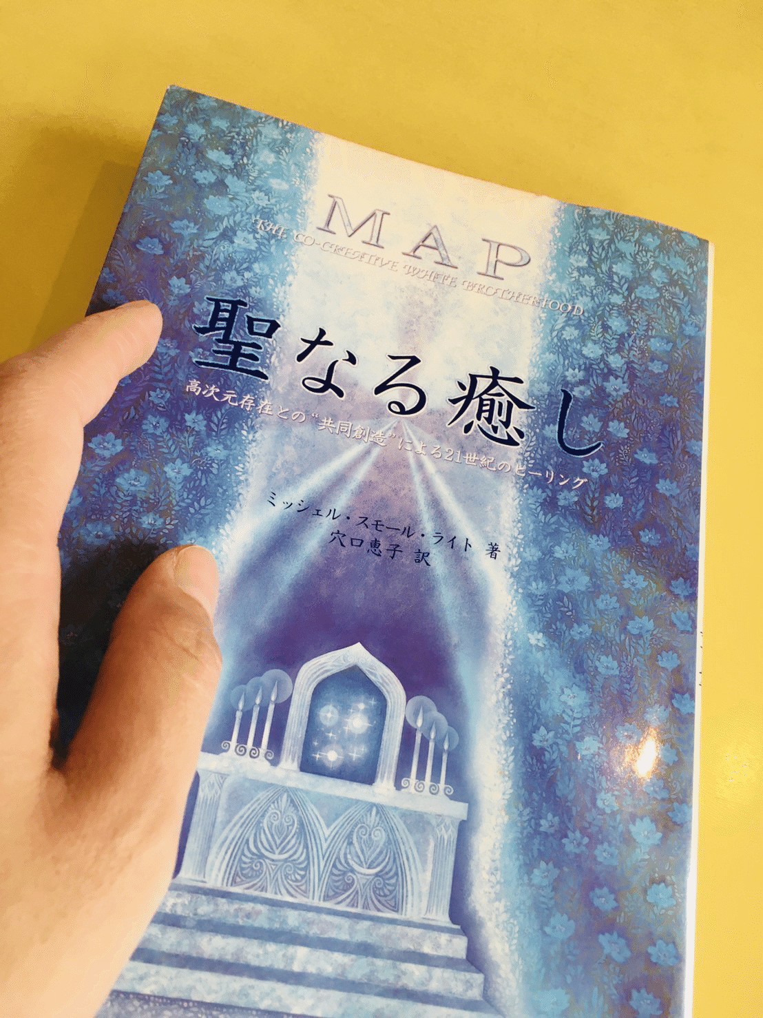ホワイト ブラザーフッドのMAPやってみた。ちょっとレイキ