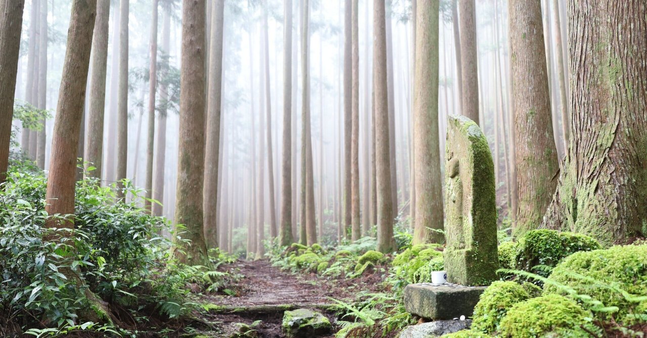 熊野とは④ 「道」・・熊野古道、聖地への道|cool な kumano 熊野とは④ 「道」・・熊野古道、聖地への道|cool な kumano