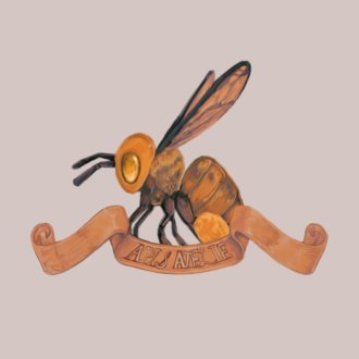 𝙰𝙿𝙸𝚂 𝙰𝚃𝙴𝙻𝙸𝙴𝚁|note