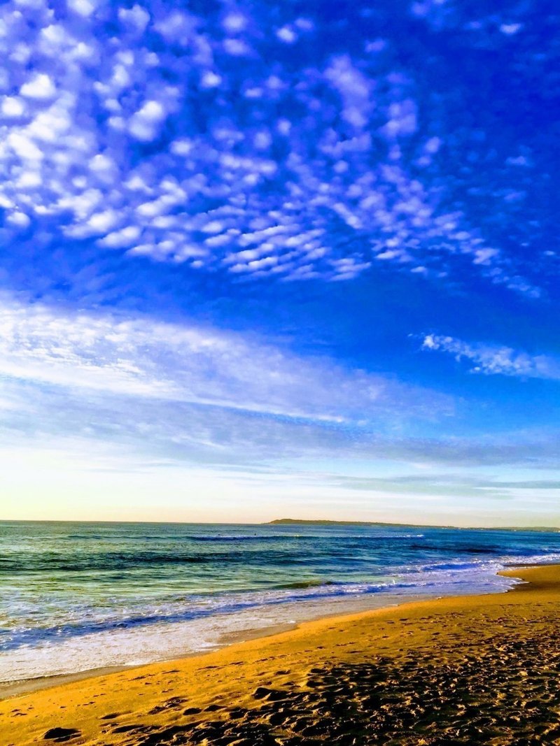 ワンピース から学ぶ 家族愛 の大切さ 唐澤俊和 軟水 Note