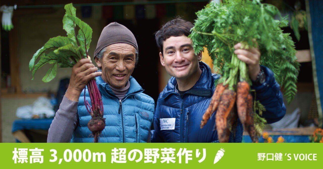 野口健'S VOICE】標高3,000m超の野菜作り｜文化シヤッター株式会社