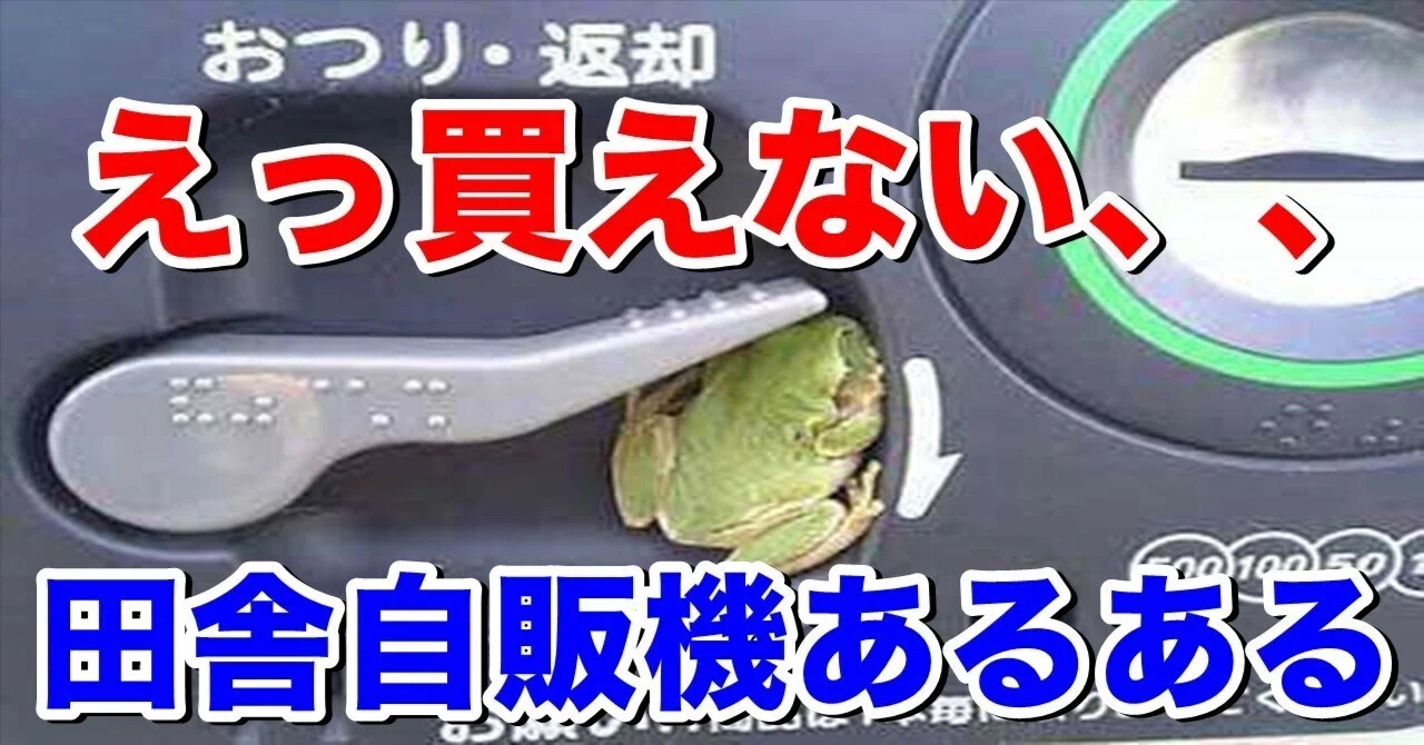 カエルさん、そんなとこにいたら買える（カエル）ものも買えないやん