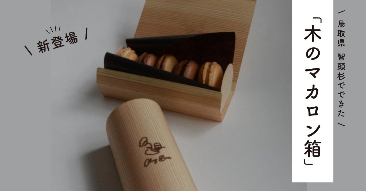 新登場！「木のマカロン箱」｜木の紙ショップ