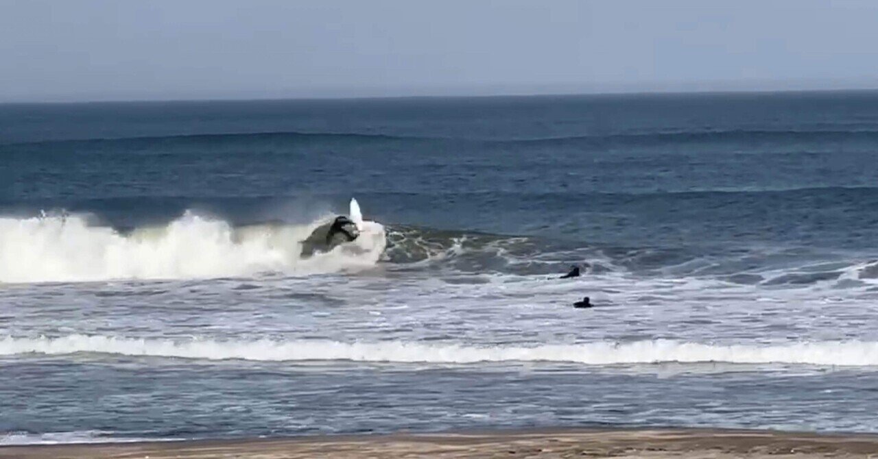 Sea Rover SurfCrew|note