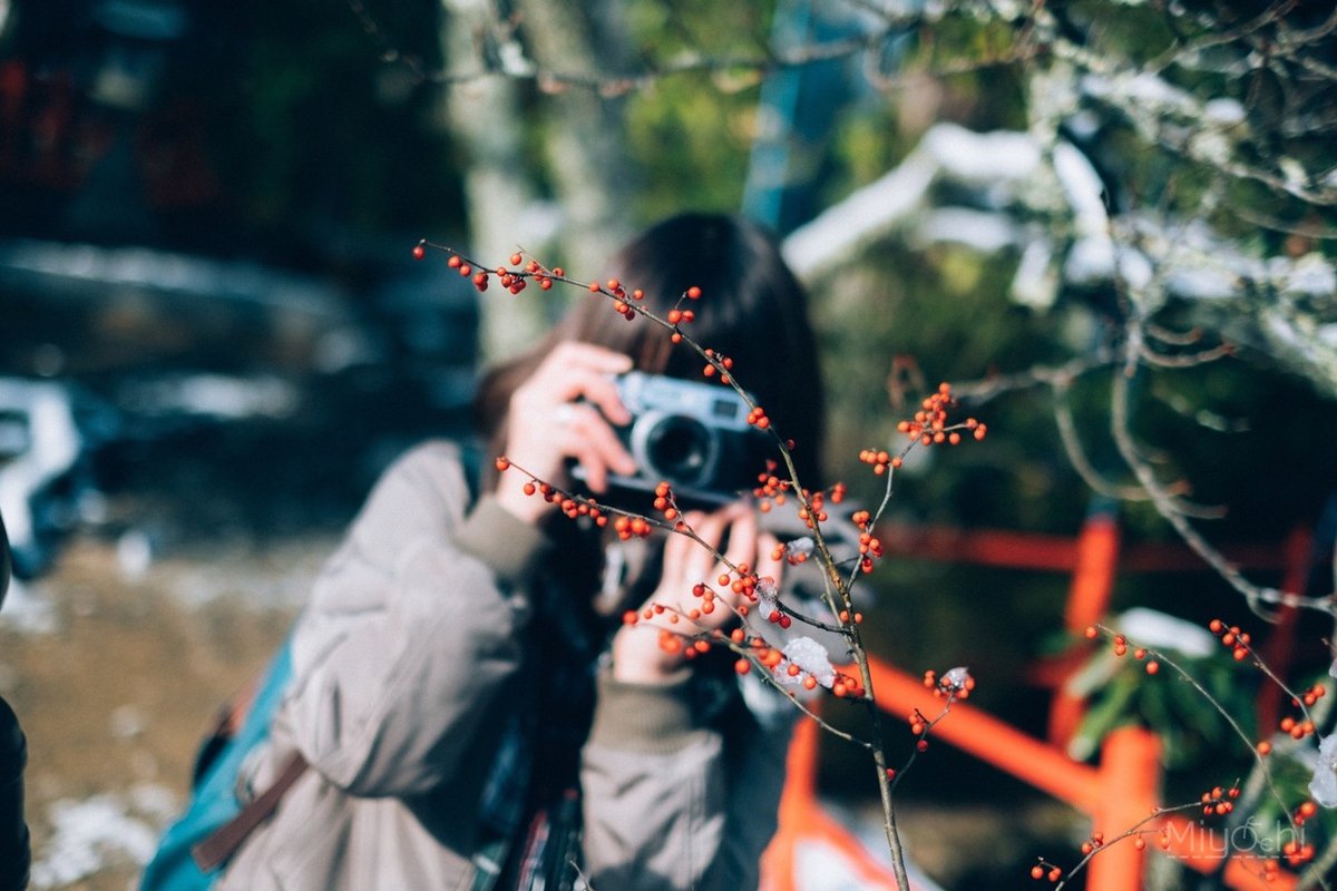 SONYα7IIIでFUJIFILMの色を再現させる夢のプリセットを作ってみた