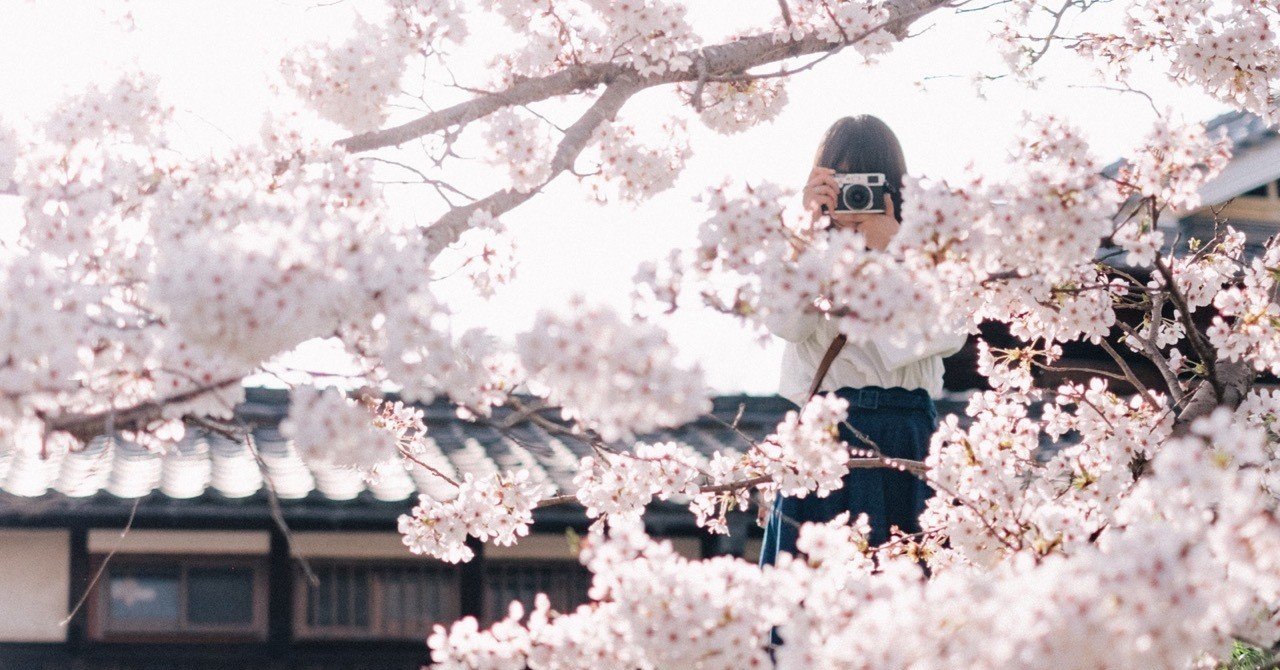 Sonya7iiiでfujifilmの色 を再現させる夢のプリセットを作ってみた 01 プリセット追加lightroom6へ対応 Miyachi0730 Note