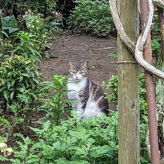 トップに移動