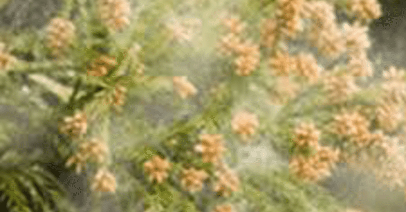 スギ花粉 開成測量設計社 Note