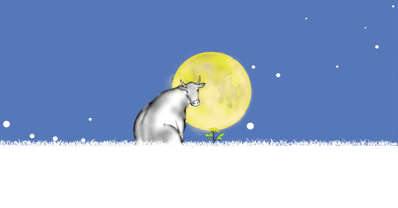 牡牛座♉新月🌑
