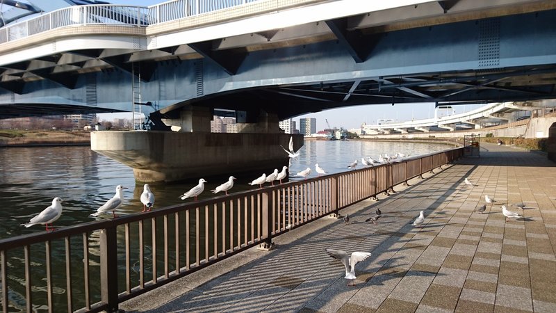 押上 曳舟 鐘ヶ淵 隅田川東岸を歩いてみた 隅田川 防災団地と夕暮れの浅草 編 Takanori Oshiba Note