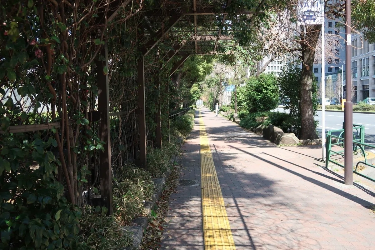 画像8