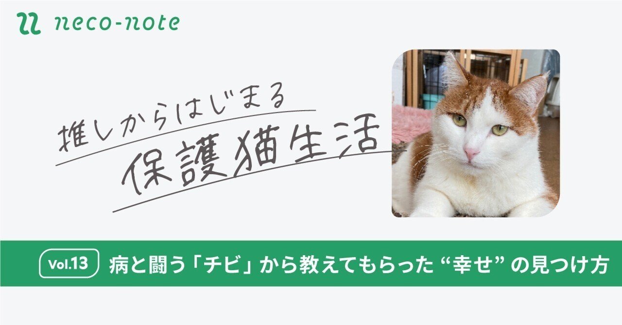病と闘う「チビ」から教えてもらった“幸せ”の見つけ方｜ネコ
