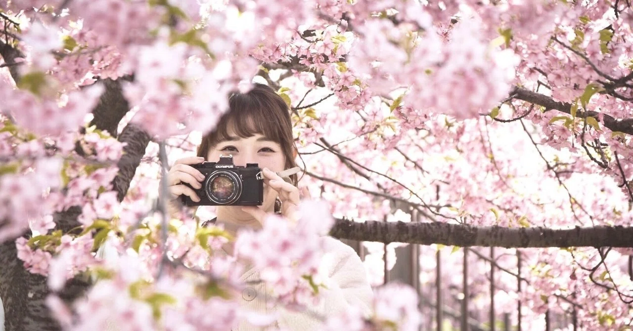 pink！pink！pink！｜藤本 えり