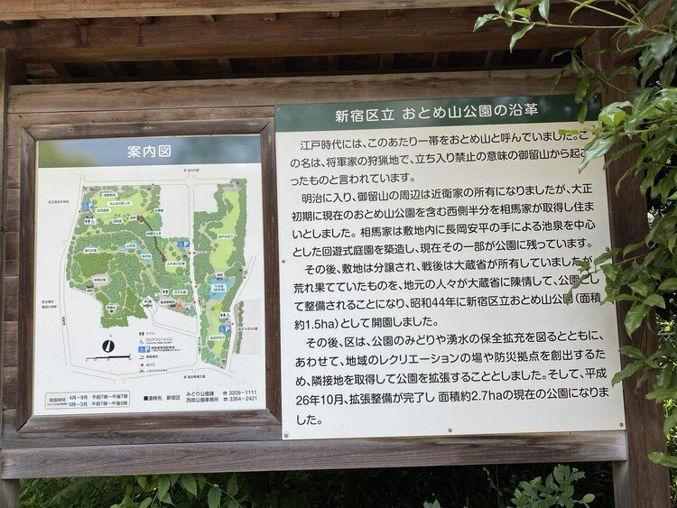 ああ、申し訳ない。やはりこちら側が公園の本体(？)でした。乙女山かと思ってたら御留山で、将軍家の狩猟地だったのか。しかも元々は回遊式庭園で、これはその一部だったのか。しかも面積2.7ha！東京ドーム約0.577478個分！