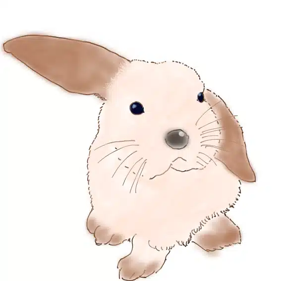 lop-eared