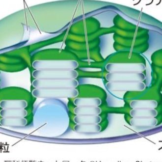 トップに移動