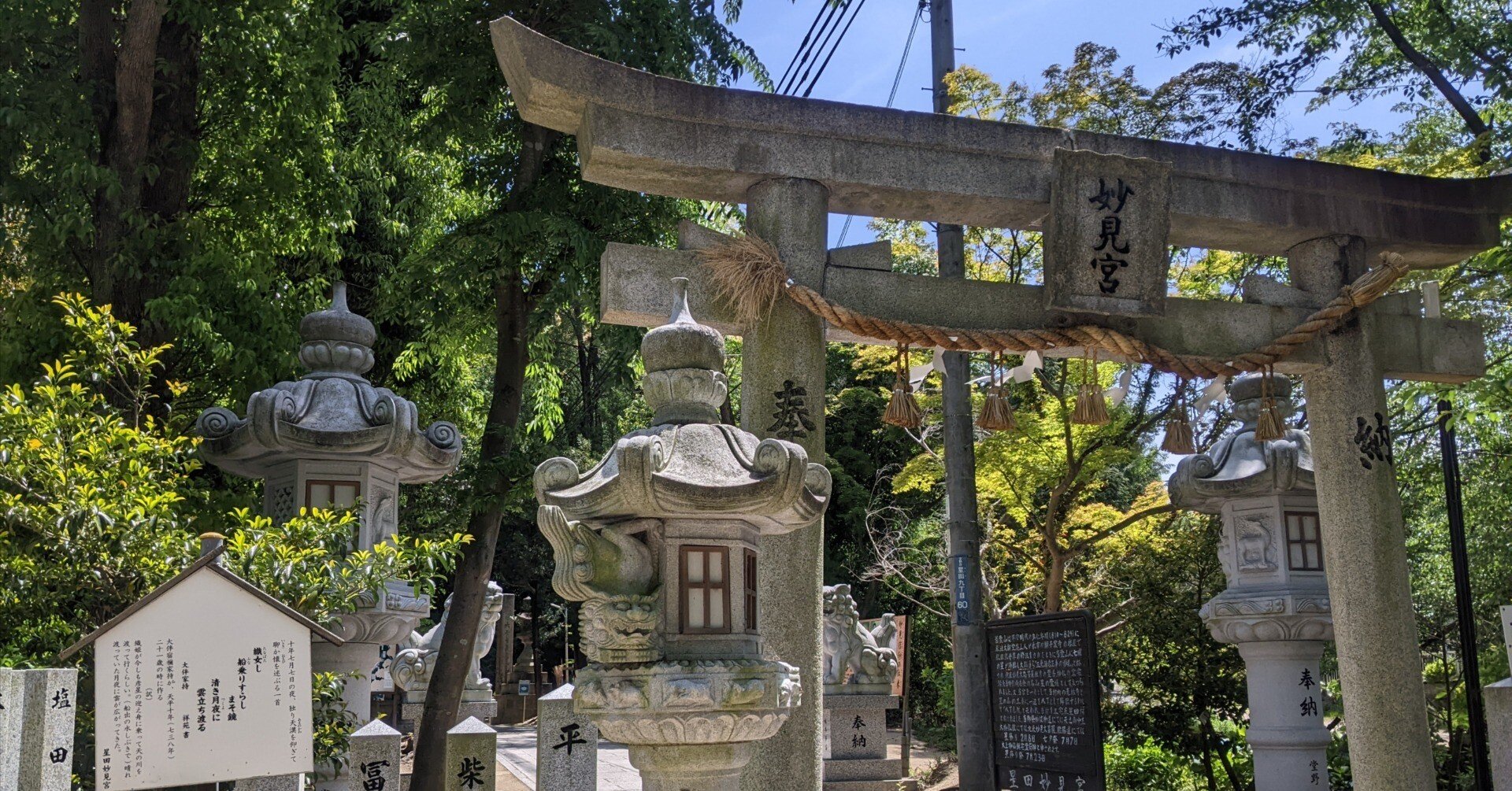 北斗七星降臨の聖地・星田妙見宮と【大阪公立大学附属植物園】｜さりー