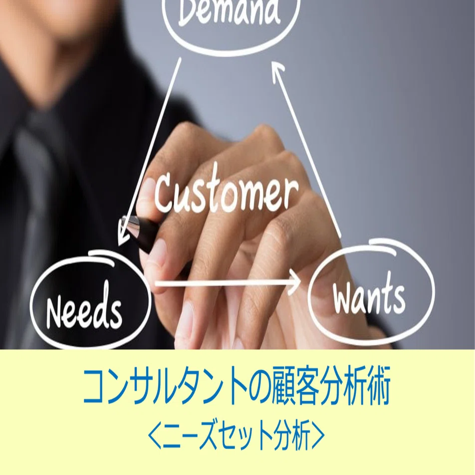 コンサルタントの顧客分析術 ＜ニーズセット分析＞｜マーケティング