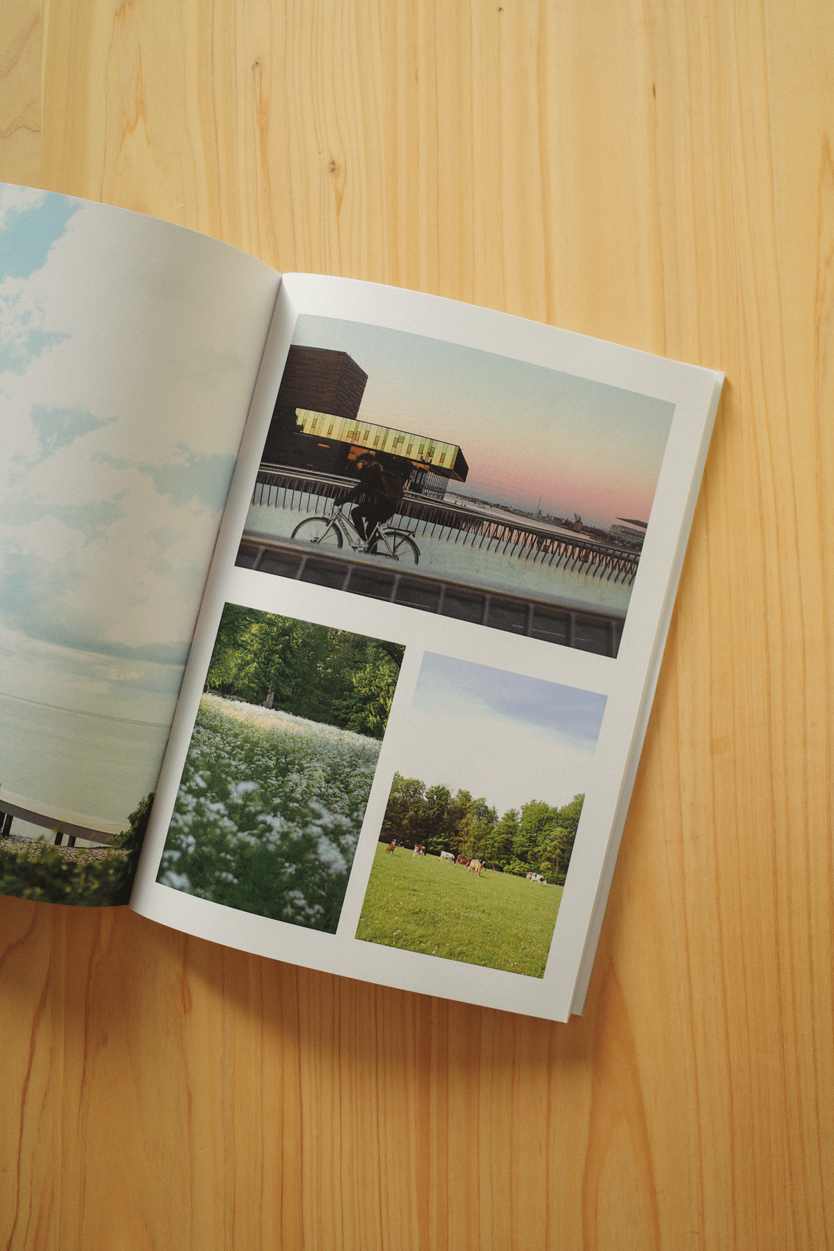 お知らせ】デンマークの本をつくりました🇩🇰📘｜ふなとりさこ