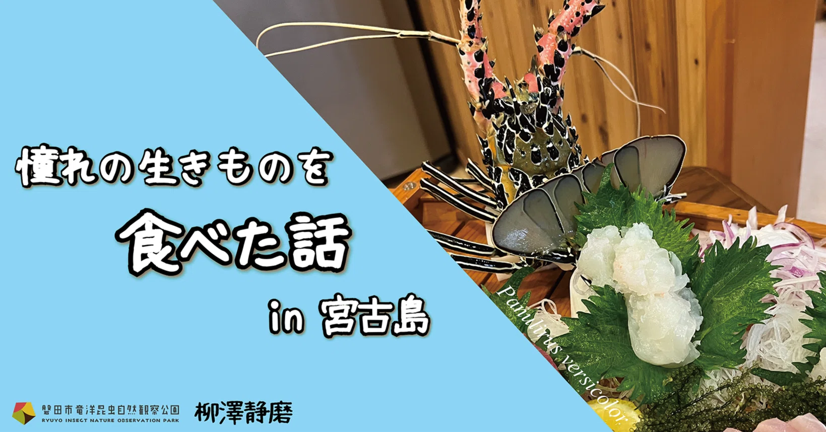憧れの生きものを食べた話in宮古島｜竜洋昆虫自然観察公園