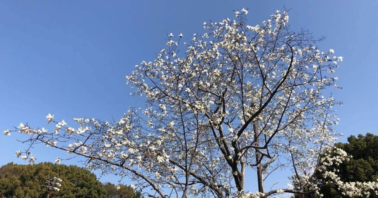 日比谷
