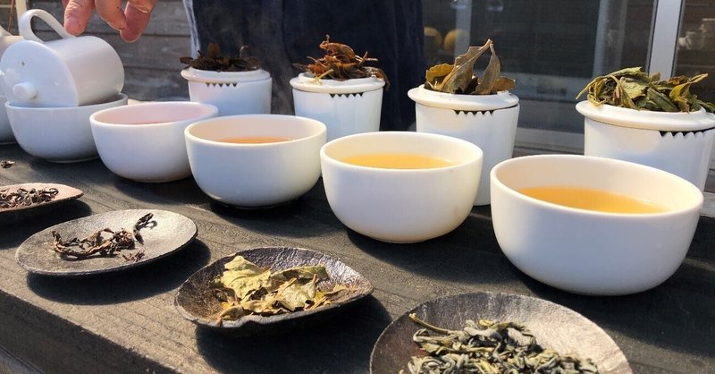 自然の生命力が注がれた「みなまた和紅茶」の豊かな味わい｜熊本県 水俣市