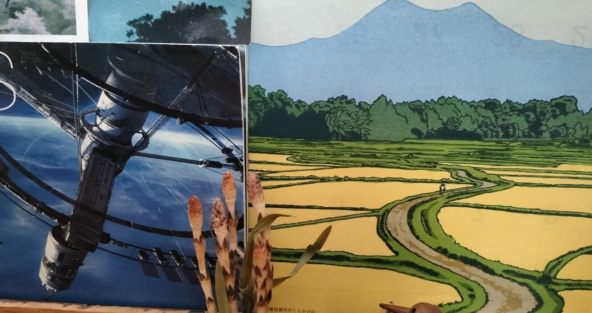 Kazuoki Crest｜note