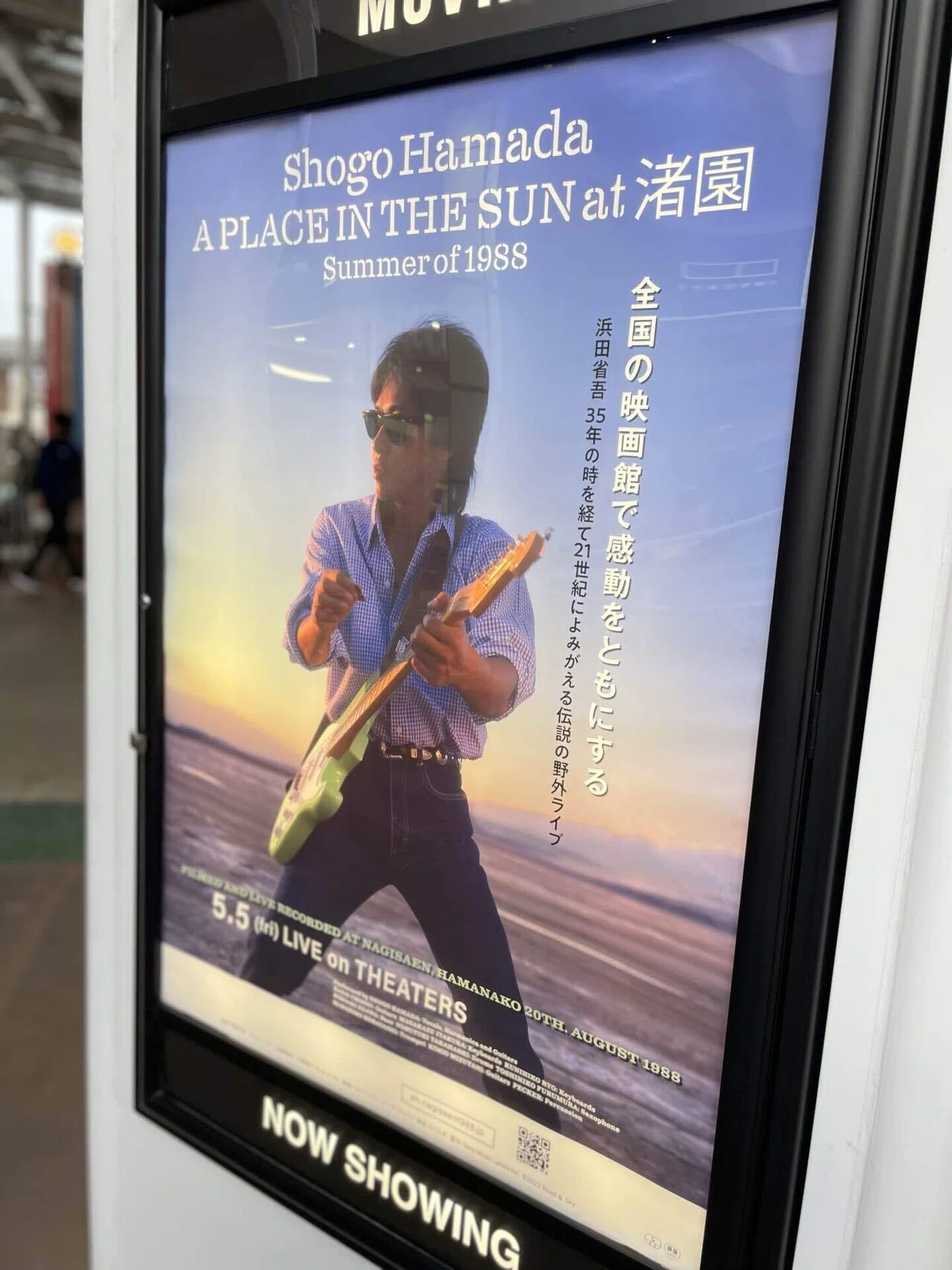 浜田省吾『A PLACE IN THE SUN at 渚園 Summer of 1988』と