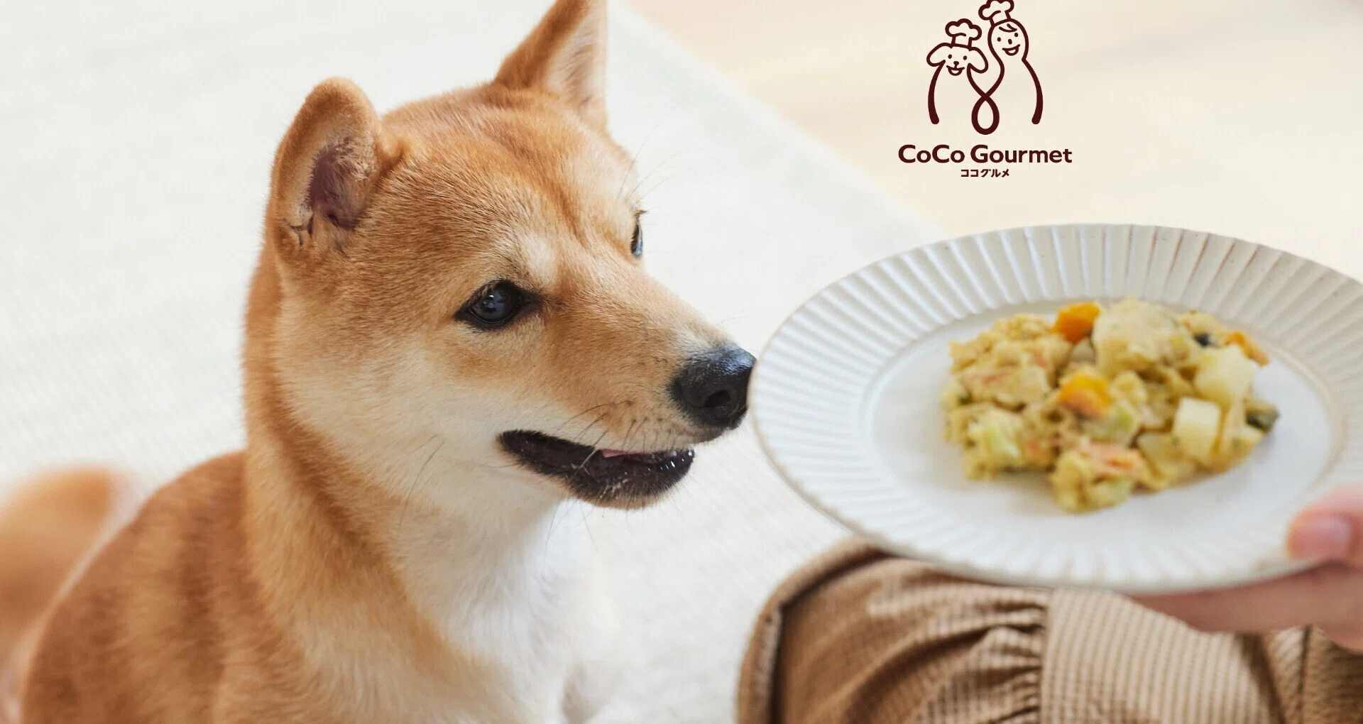 クール便・未開封ココグルメ ココグルメ 犬猫生活 手作りご飯 19袋セット
