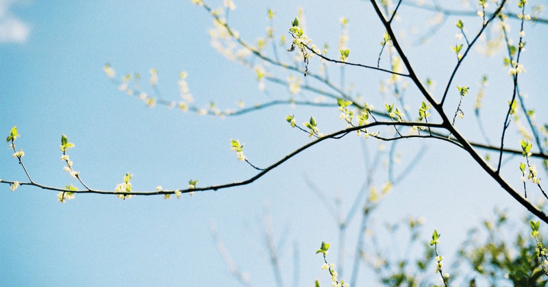 メモ ～鳥のさえずりを聴く～