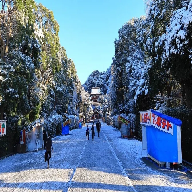 雪の鶴岡八幡宮｜鎌倉PRESS（別館）