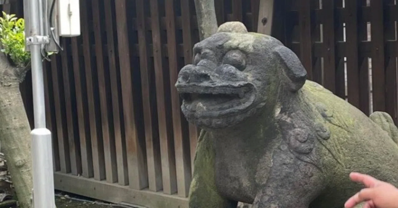 日本唯一の狛犬番組『狛さんぽ』のロケに参加させてもらた｜ミノシマタカコ