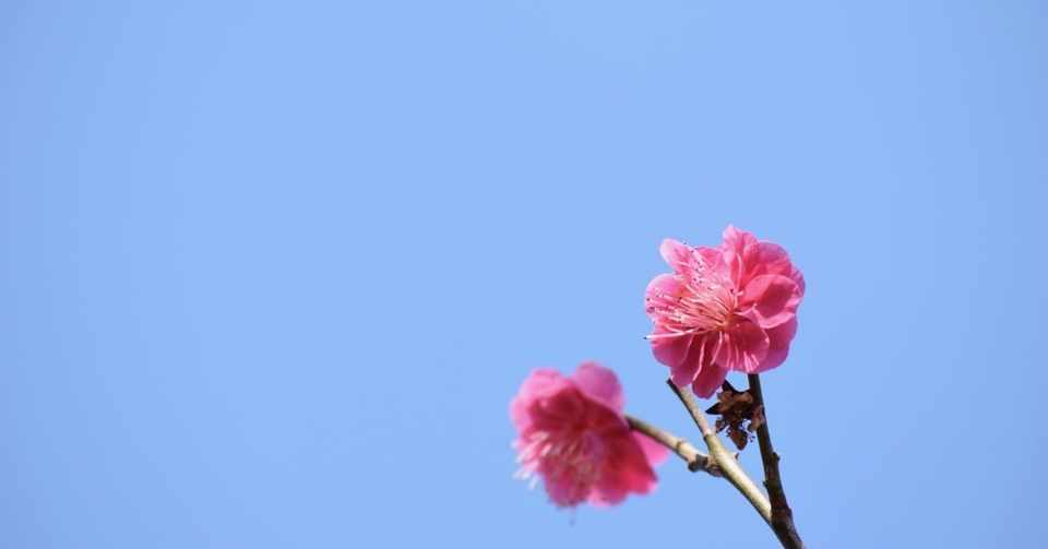 ニコ生代表戦からのサトミキさんとfoot Brainに出演 中村慎太郎 旅とサッカーを紡ぐowl Magazine Note