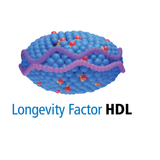 長寿因子 HDL研究会