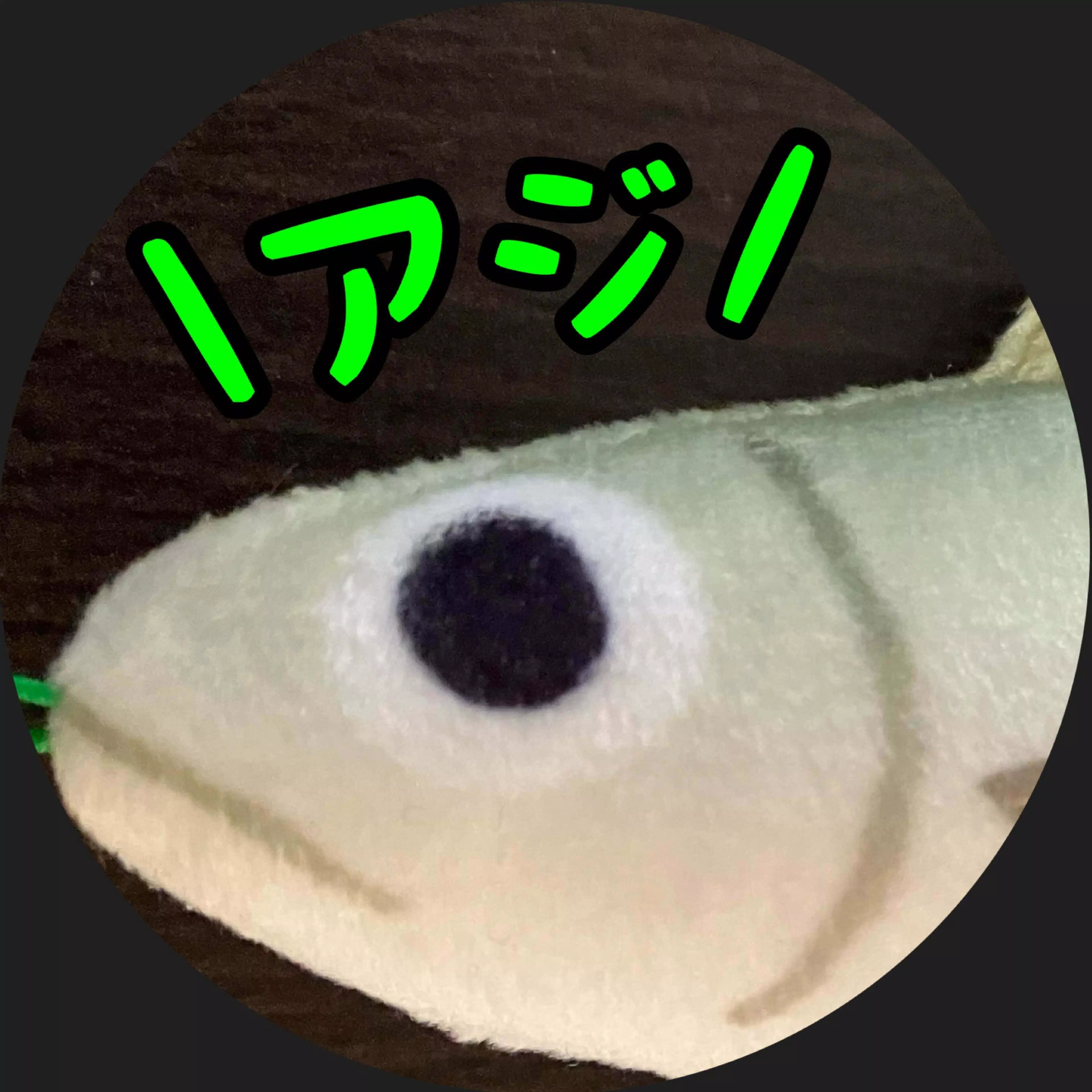 ぐっちあっきー