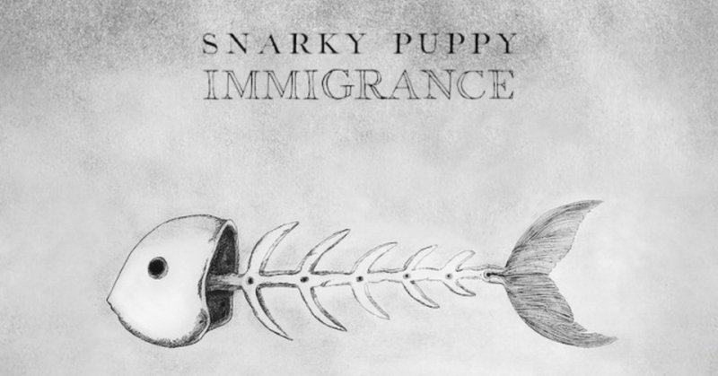 Snarky Puppy：スナーキー・パピー『Immigrance』とモロッコの音楽グナワのこと（Playlist付き）