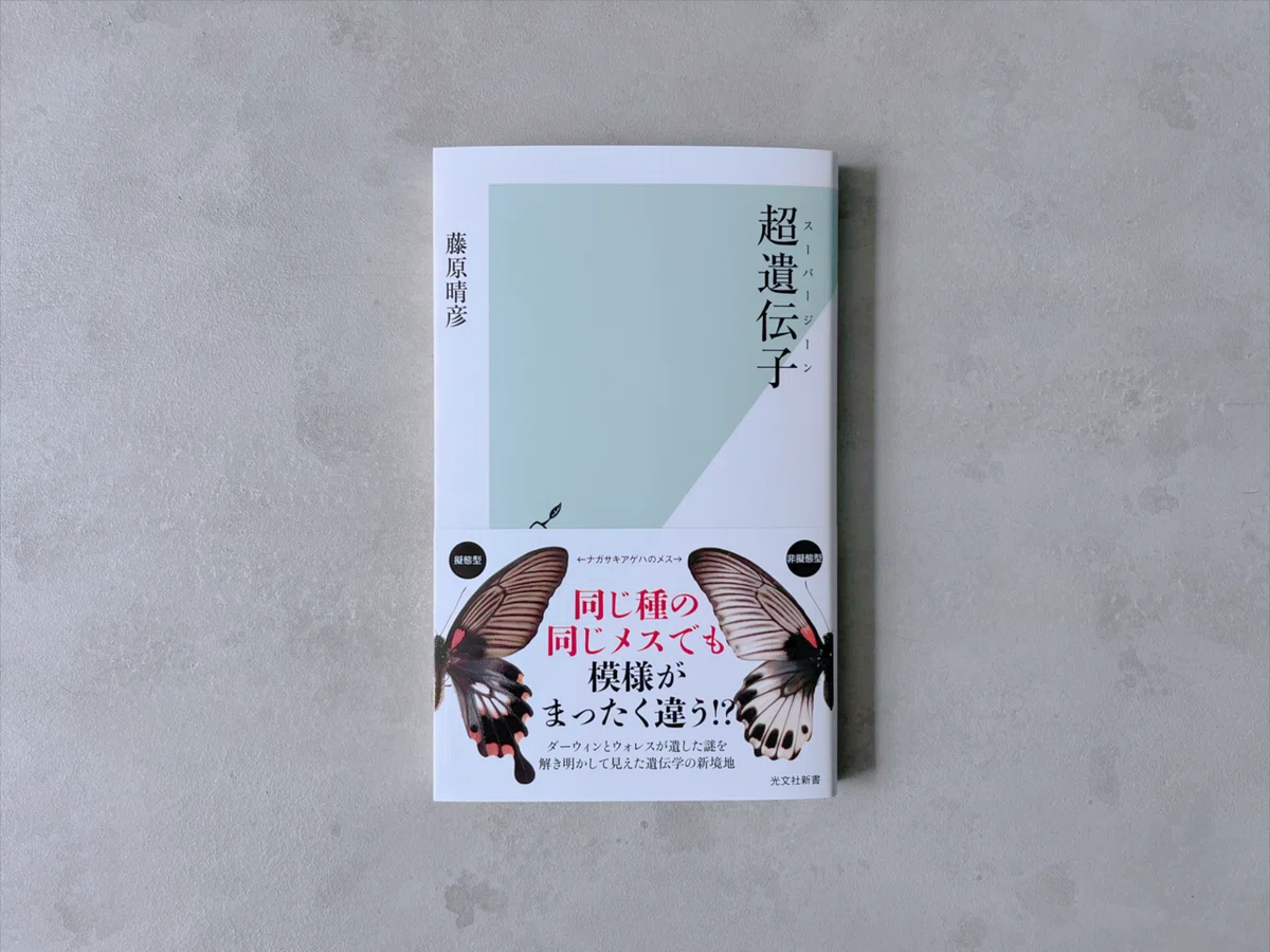 光文社新書】2023年5月刊4冊の内容を3分で！｜光文社新書
