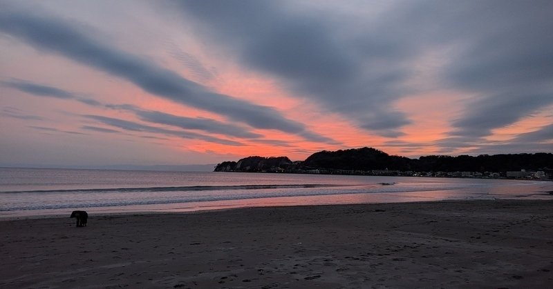 変わらないもの ってなんなんだろう 仏教や宗教学が示唆してくれる普遍の感情 だいまりこ Note