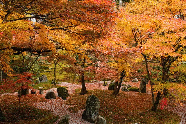 福岡・太宰府の光明禅寺の紅葉。
