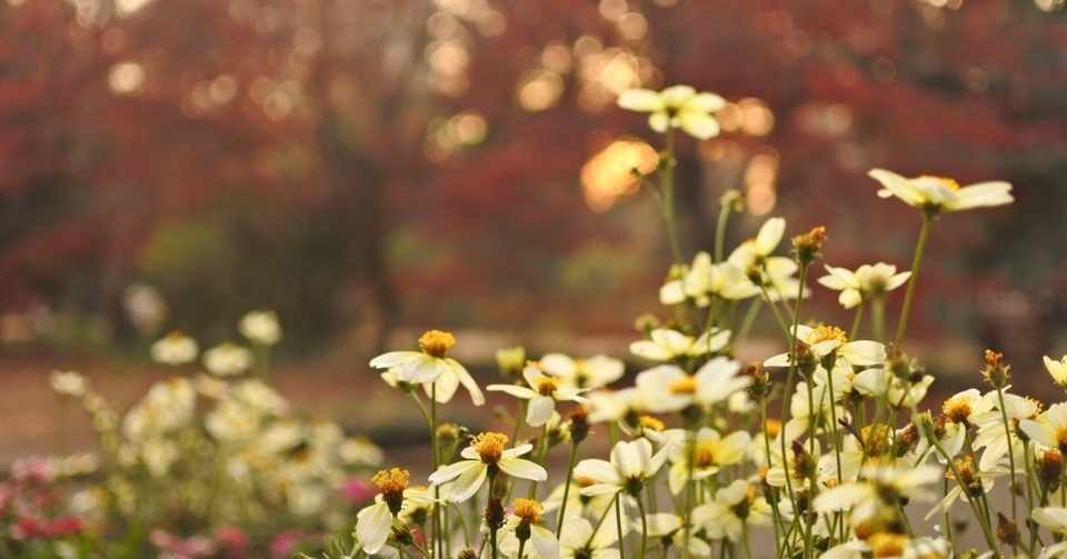10 自分のお葬式に集まってくれた友達同士の会話の中で 自分の事をどんな風に言われたいか あずき Note