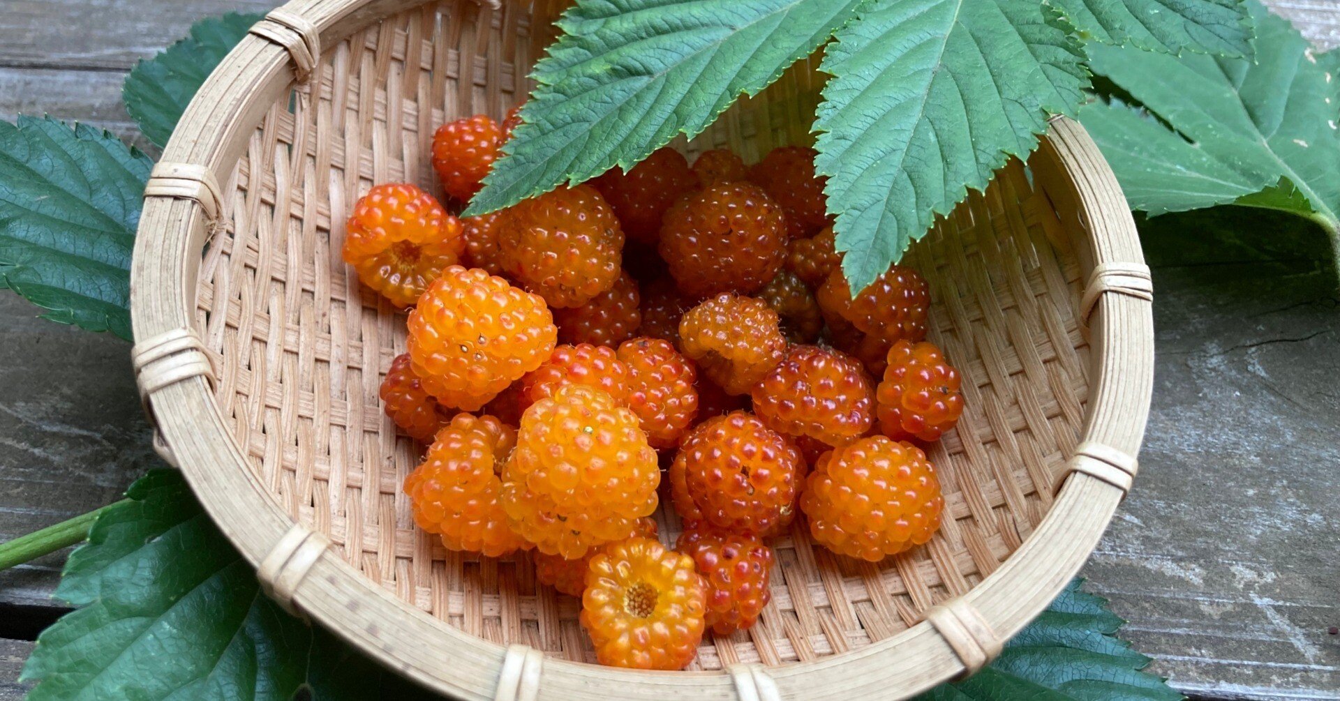 きいちご♪ ページ e3f96d1c947833ad6d2c2ab752d491