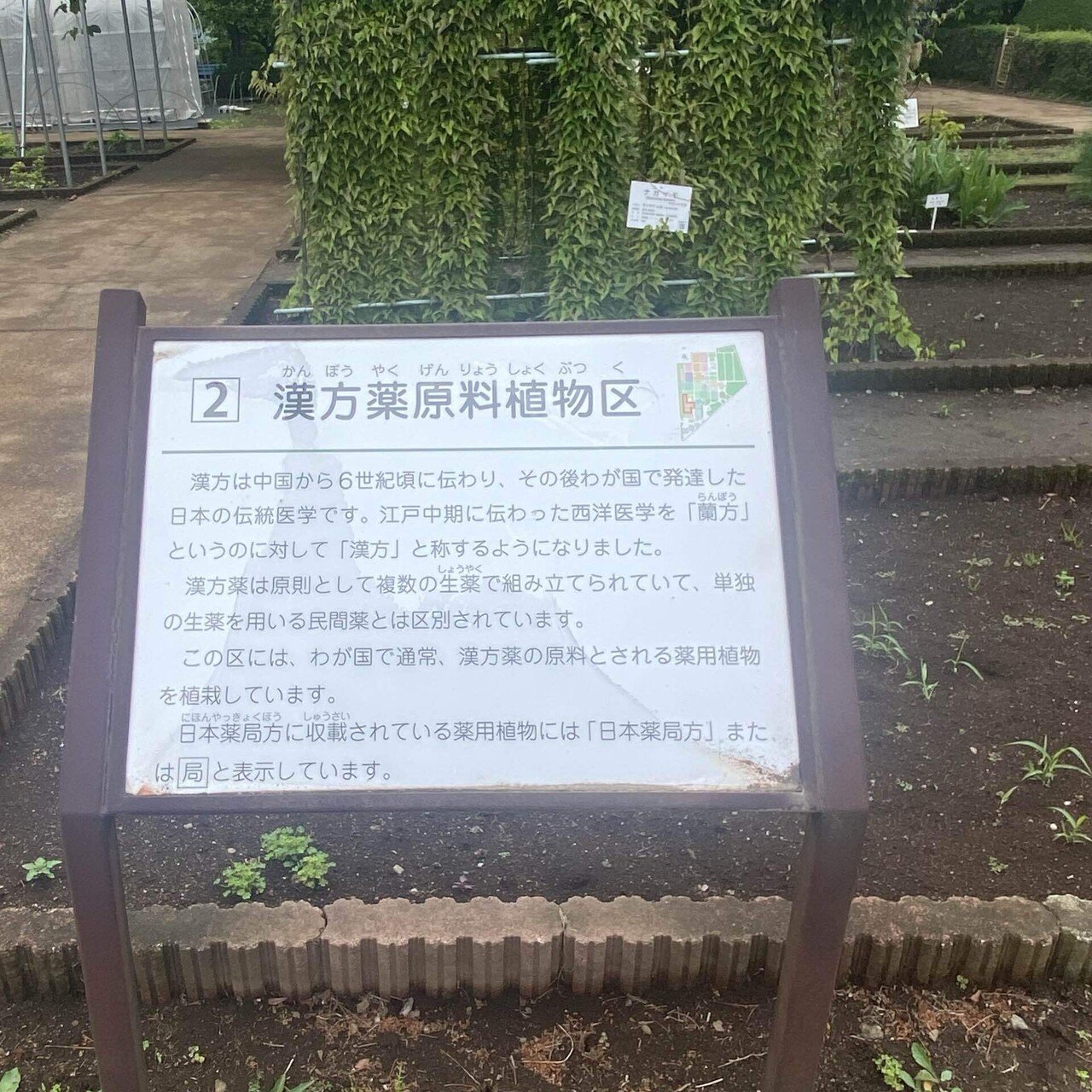 薬草をもっと知ろう❗️薬草植物園へ｜Cheval Blanc