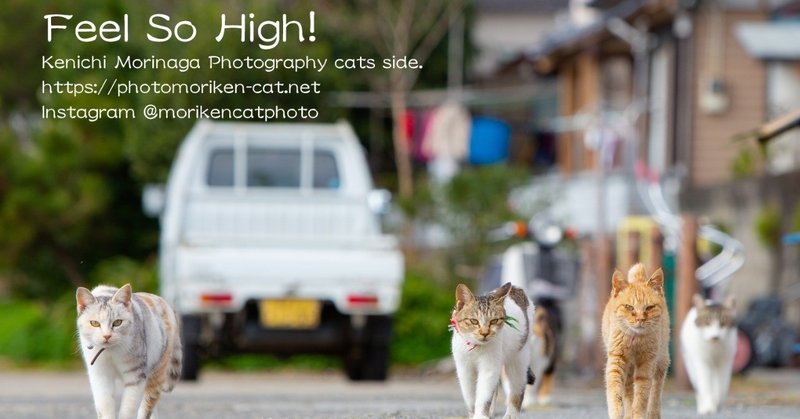 How to get to Cat Island Yushima Island in Kumamoto.