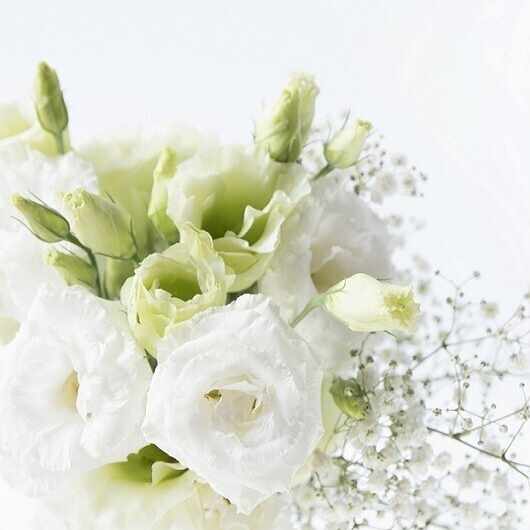 Hermetica（ヘルメス文書）とは？｜山田るり｜占いworld