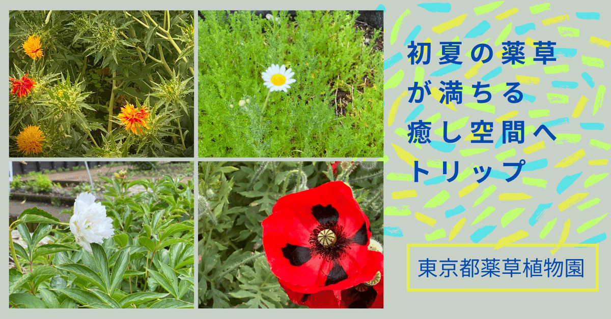 臨床医学と薬用植物―世界の薬草と漢方 (1985年) 臨床医学と薬用植物―世界の薬草と漢方 (1985年) 臨床医学と