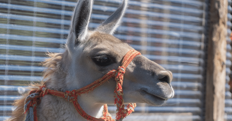 Guanaco-33b / ChatGPTの99%の性能のチャットAIがローカルPCで動く!?|はまち