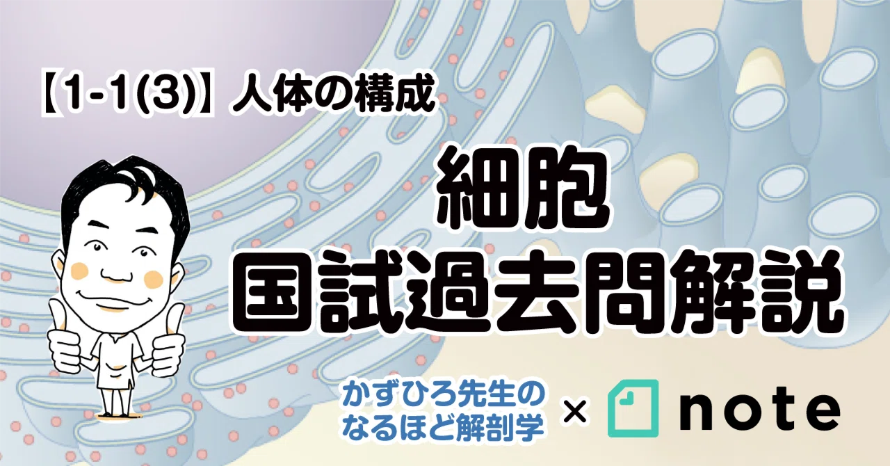 パターン国試学〈Vol.1〉病因・病態、循環器、神経 パターン国試学編集委員会 パターン国試学〈Vol.1〉病因・病態、循環器、神経 パターン国試学編集