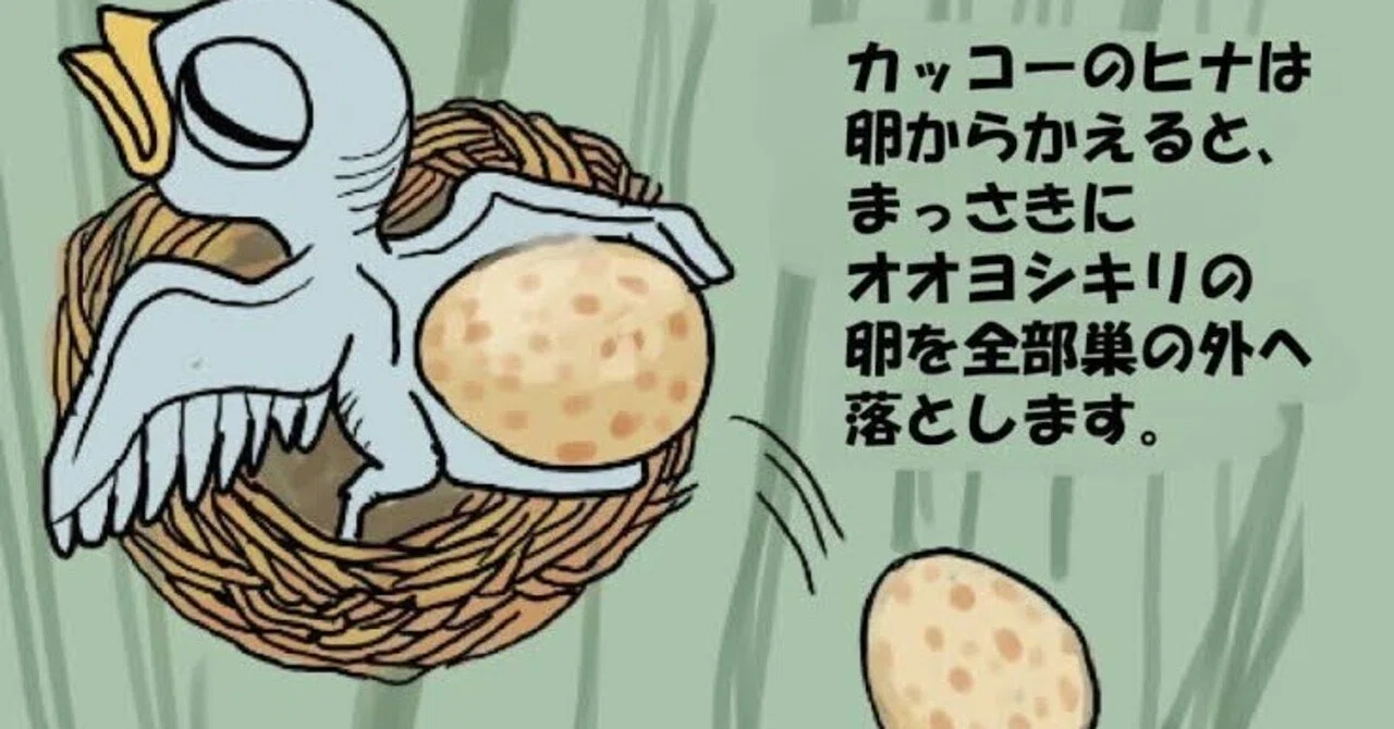 第2531回 托卵ヒナの特技｜翆野 大地
